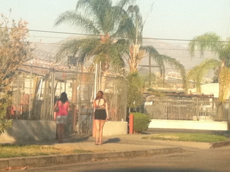 Prostitutes Toluca